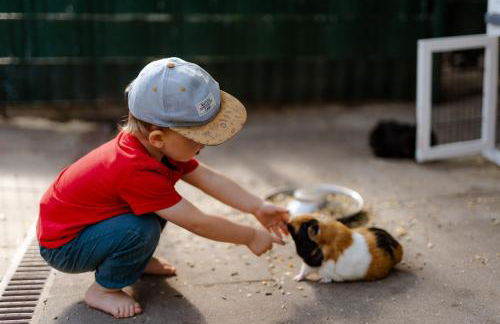 Achter de Höf Whg 2 - Foto 31