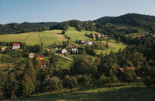 Pasieka - Dom Wypoczynkowy - Foto 48