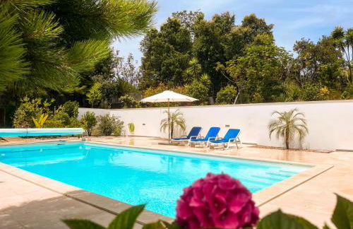 Edles Apartment in Architektenvilla mit großem Pool, Sauna, Dachterrasse und malerischem Garten - Foto 1