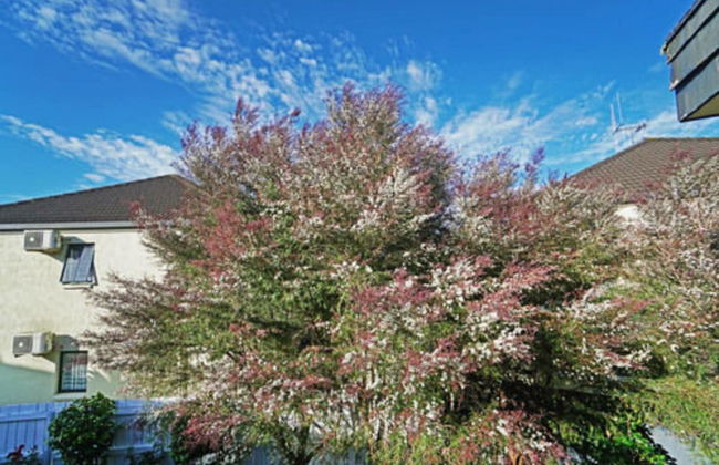 Anglesea Motel and Conference Centre - Photo 47