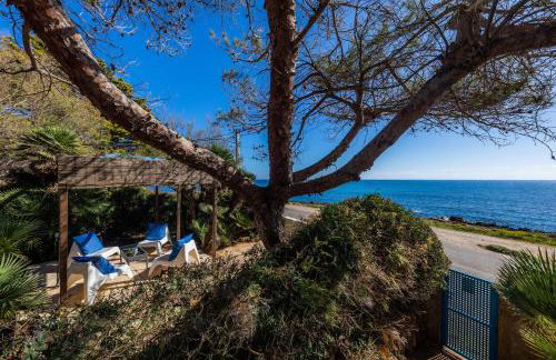 Finca Es Carregador - Photo 19