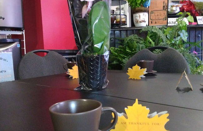 Pied-A-Terre Mont-Royal - Foto 60