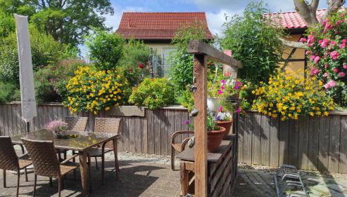 Küstenblüte - Foto 3