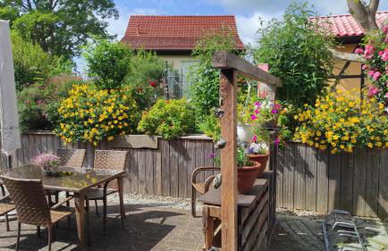 Küstenblüte - Foto 3