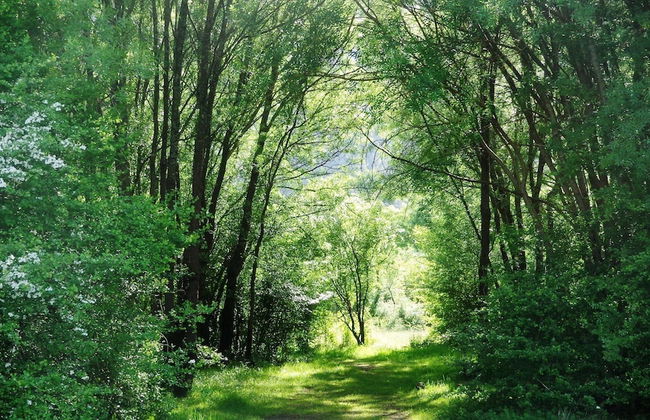 Retiro do Bosque Country House - Foto 35