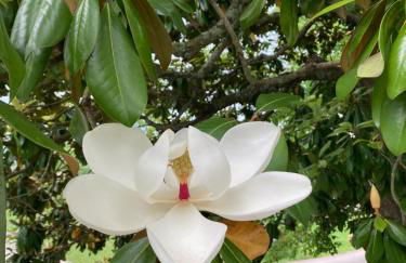 Convenient and Spacious home in Stanton, Ky - Foto 12