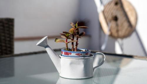 Loft A'ca La Puri en Melegís - Foto 3