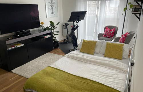 Peloton Organic Health Apartment in Angel, Old Street, Islington - Foto 17