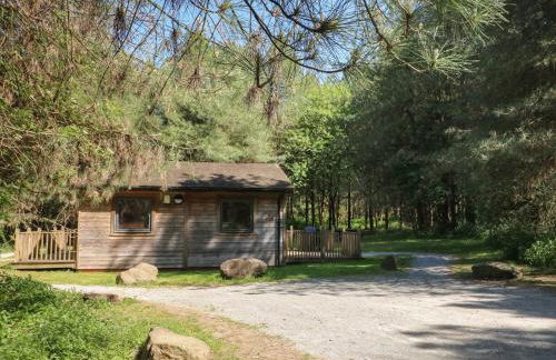 Sycamore Lodge - Foto 1