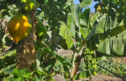 Casa Erika - Foto 18