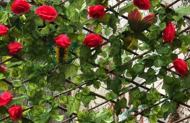 Gîte Les Acacias - Foto 46