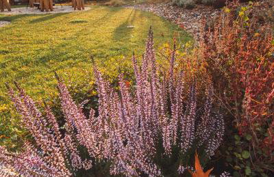 Śnieżka Exclusive Apartamenty - Foto 74