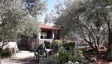 Studio Jasna - Foto 3, Garden