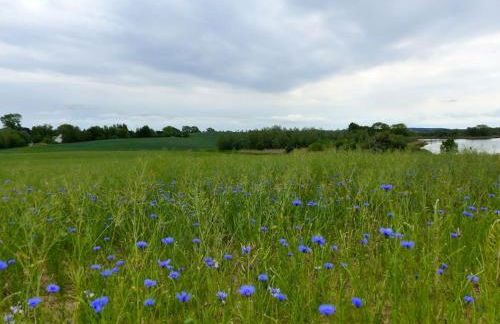 Ferienhaus Früh am See - Photo 26