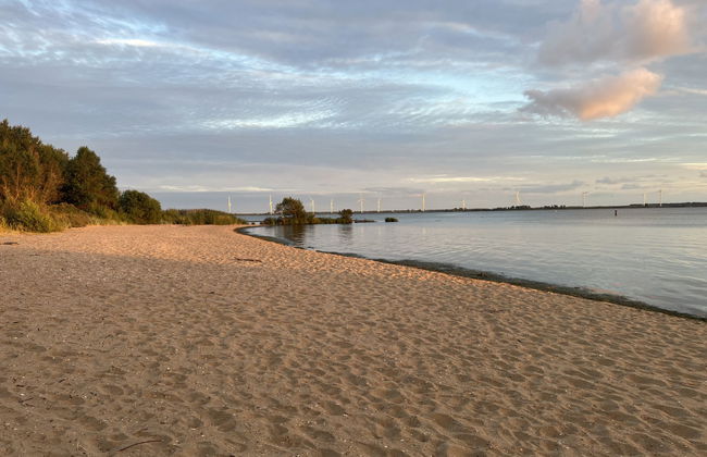 Citta Romana - Photo 21