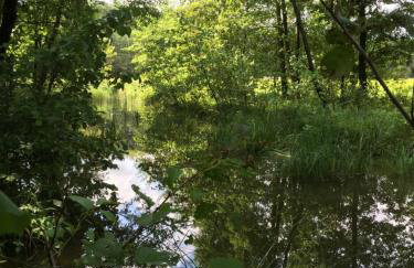 Chatka mojego dziadka - Foto 37