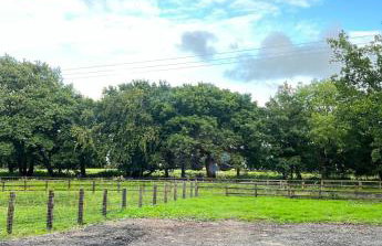 Lodge with log burner Contractors business private parking free Wi-Fi near M4 - Foto 66