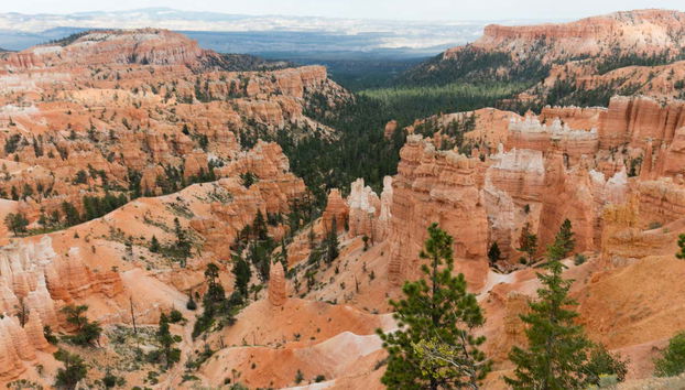 Tour de 4 o 6 días de San Francisco a Las Vegas finalizando en Los Ángeles - Foto 3