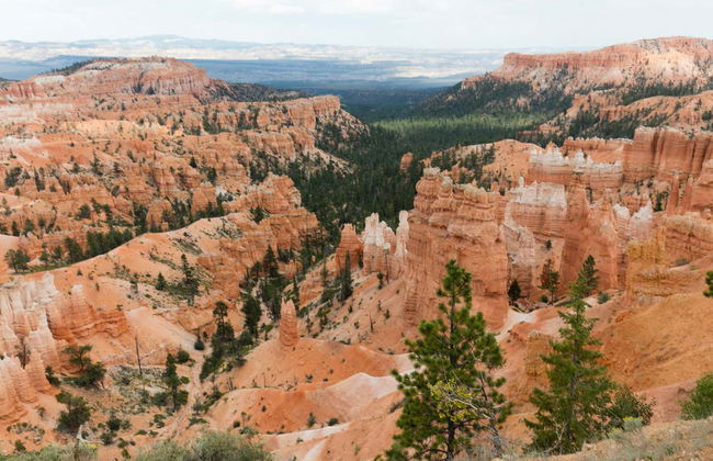 Tour de 4 o 6 días de San Francisco a Las Vegas finalizando en Los Ángeles - Foto 9