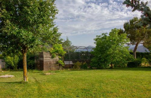 Villa Giulia - Foto 12