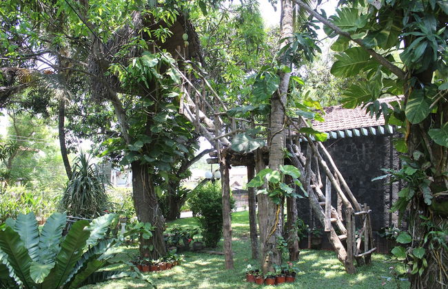 Villa Shade - Photo 64