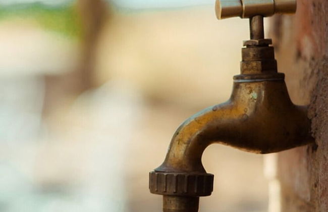 Cortijo Vizconde - Photo 53