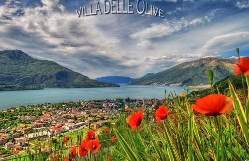 Villa delle Olive - Photo 10