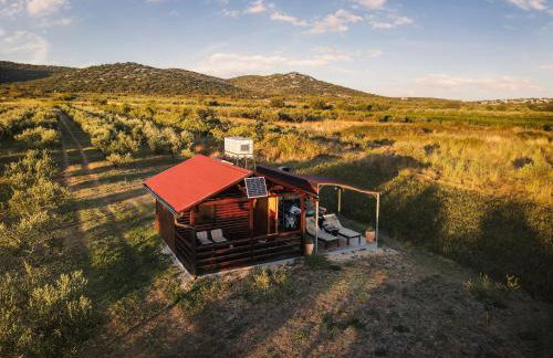 Robinson house Orkula in the heart of olive's yard - Foto 1