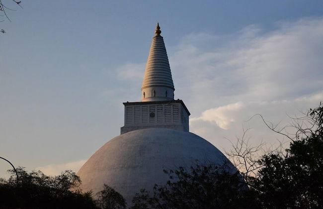 Wilpattu Tree House Hotel - Foto 65