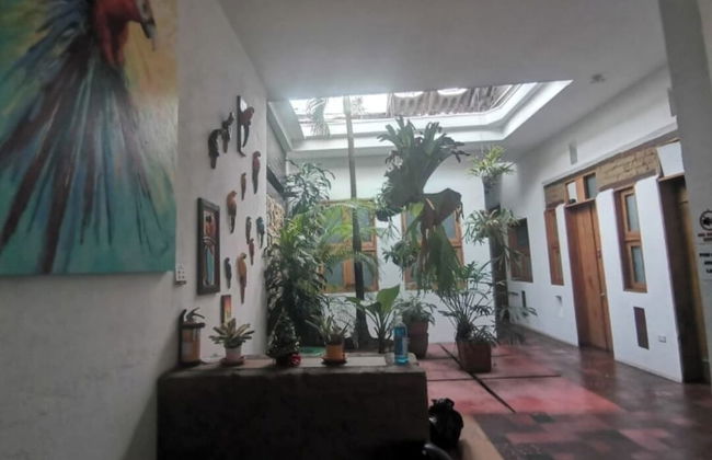 parrot house san antonio - Photo 2