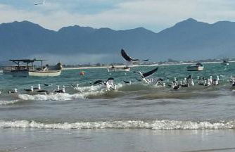 Jajá Cabanas - Foto 30