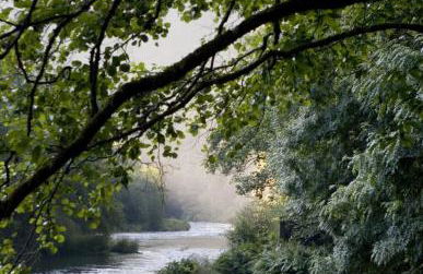 Adiva Praia Miño - Foto 43