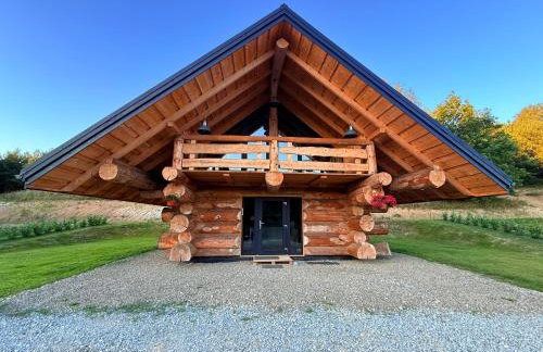 Chaty u Ramzesa nowe domy z bala - Foto 24