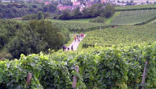 Ferienwohnung Storchenblick - Foto 5