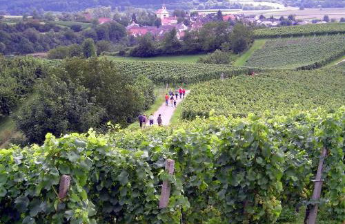 Ferienwohnung Storchenblick - Foto 5