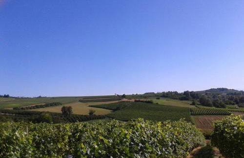 Vigneti Brichet Alloggi Agrituristici - Foto 5