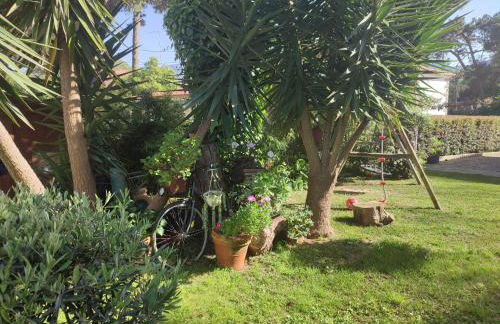 Casinha do pinhal - Foto 14