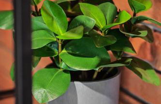 Apartament LOFTSPA - Foto 19