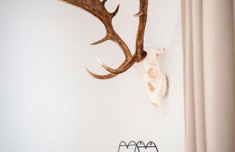 Ferienwohnungen zur Jägerin in Stamsried - Luftkurort - Foto 2