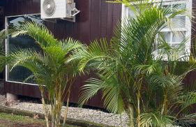 Pool amid the green - Foto 38