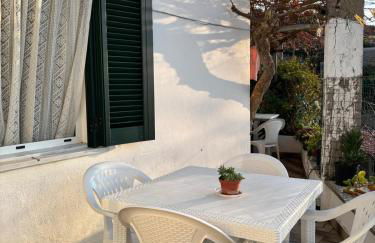 A cas e Rosa - Foto 37