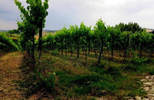 Inviting Holiday Home in San Costanzo With Swimming Pool - Foto 16