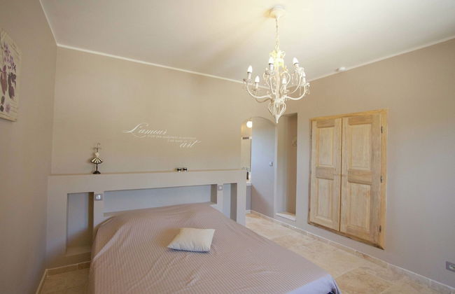 Villa in Provence With Infinity Pool - Foto 4