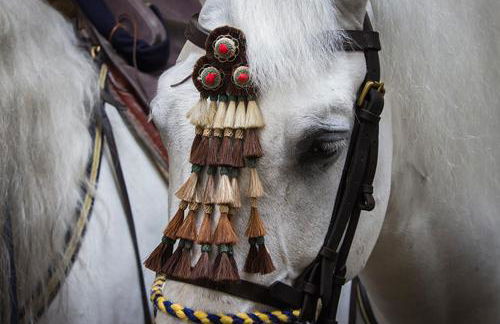 Taina Suite Bajo Muro - Foto 39