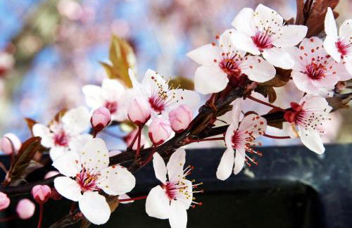 Casa Rural Antonio - Foto 63