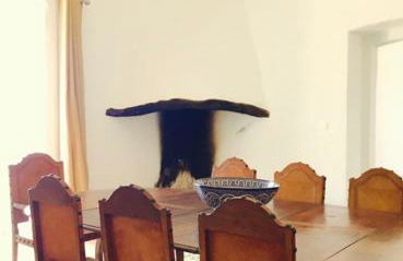 Monte Capitão Country house - Foto 14