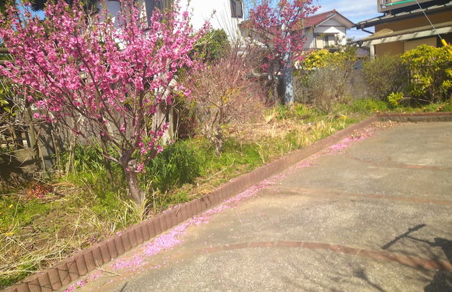 Bettei Tateyama - Foto 3