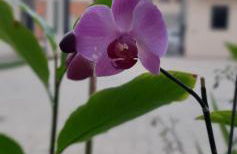 Apto Bonjour! "Torre Eiffel" - Foto 32