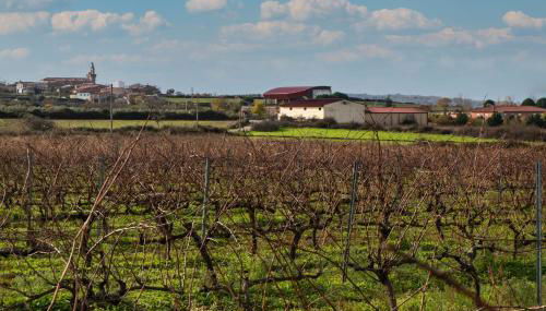 La Plazuela I - Foto 4