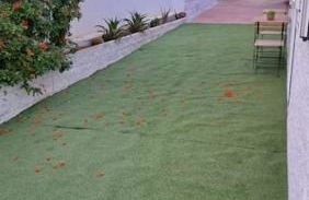 El Poni Pisador Simón Verde - Foto 11